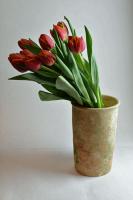 Tulips-web.jpg